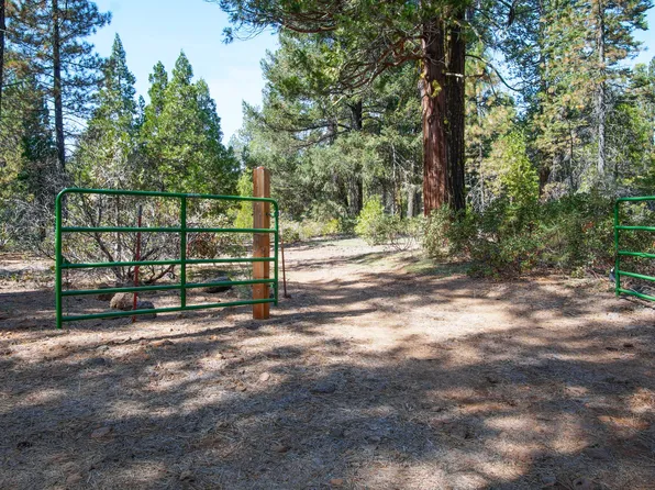 Ritts Ml, Shingletown, CA 96088