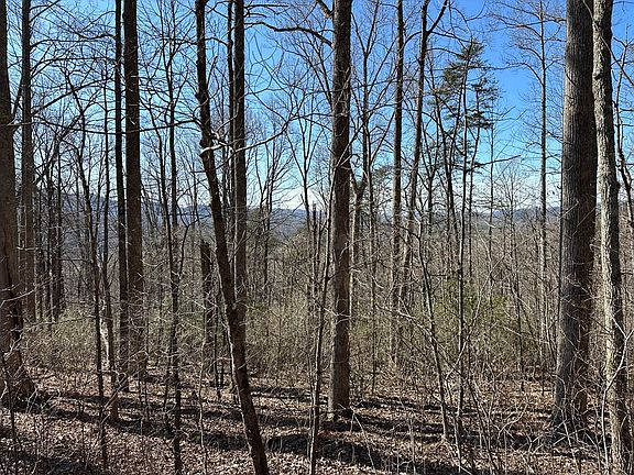 5th image of LOT 80 Asheland Cove Dr