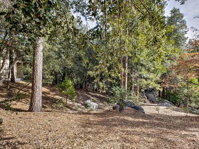 55283 Pine Crest Ave, Idyllwild, CA, 92549