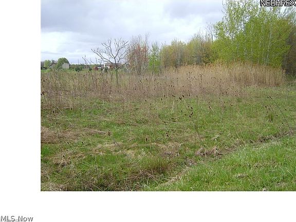 2nd image of Zrolka Dr