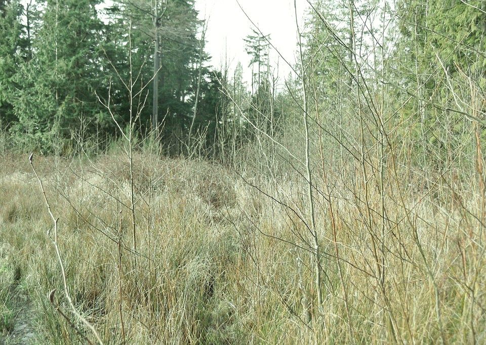 1st image of 46830 290th Ave SE