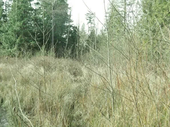 46830 290th Ave SE, Enumclaw, WA 98022