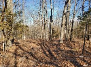 12266 Bismarck Ridge Rd, Irondale, MO 63648