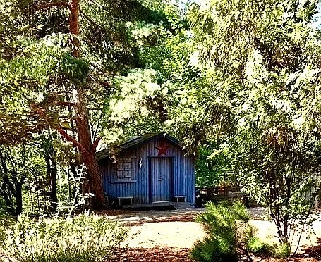 Studio in the back of the property, perfect for a yoga studio, are studio or man cave. Large Cherry Tree directly above it.