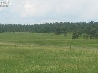 16955 Goshawk Rd E, Colorado Springs, CO 80908