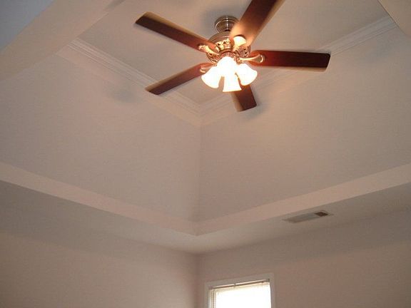 Trey Ceiling in Master