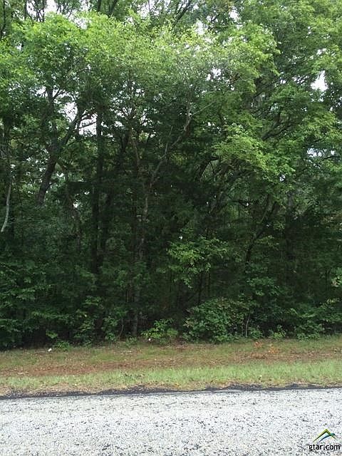 1st image of LOT 12 Fm 19