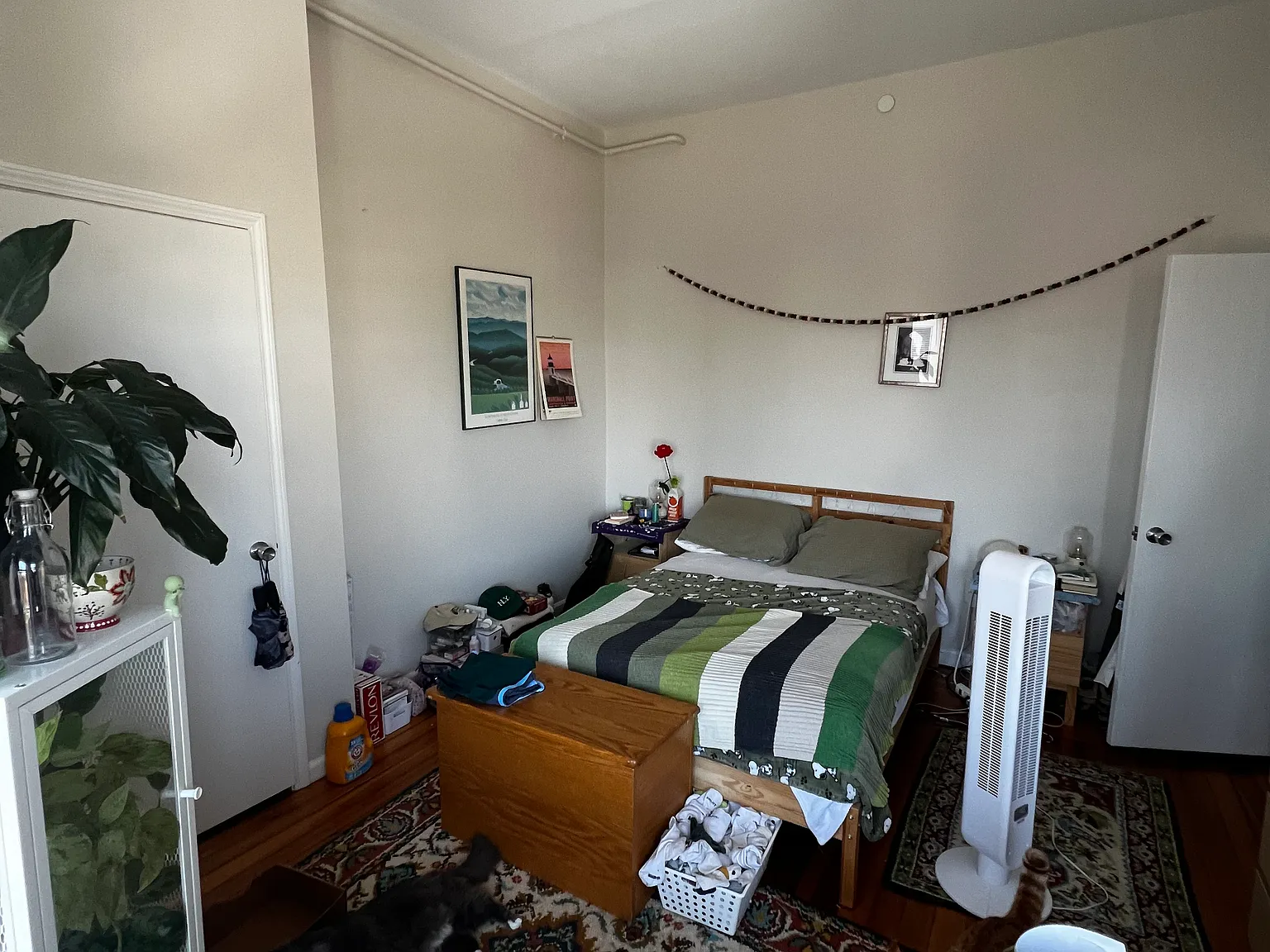 2 bed, $2,952 — Photo 3