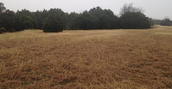 3rd image of 33001 Woodcrest Dr