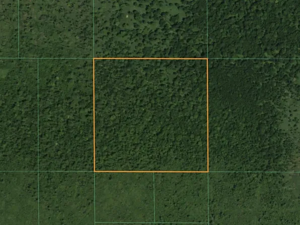 Lt1 STATE HIGHWAY 49, Pine River, WI 54965