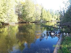 1st image of 148 Black Bear Dr