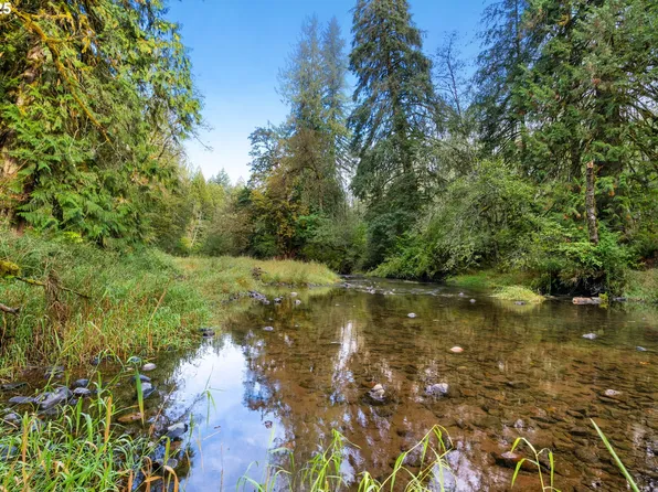0 NE Cedar Creek Rd, Woodland, WA 98674