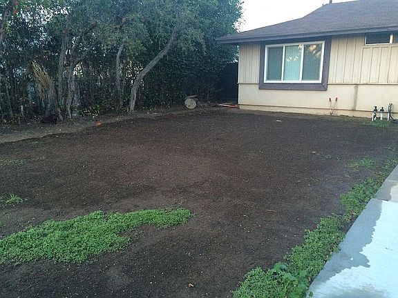 New Sprinkler System