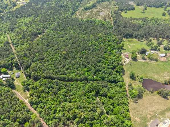 County Road 4451, Bivins, TX 75555