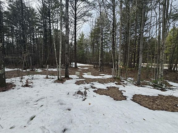 5th image of Rabbit Trl #5