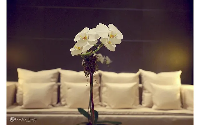 Sold by Douglas Elliman | media 13