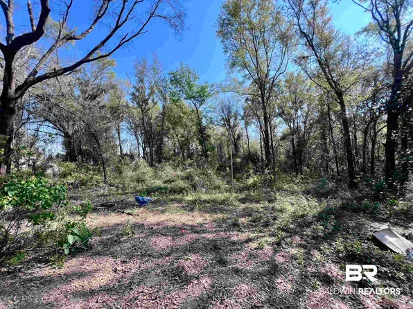 19338 Three Rivers Rd, Seminole, AL 36574