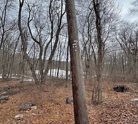 2nd image of 4 Gould Rd