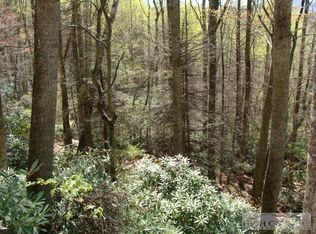 Tbd Tweetsie Ln, Banner Elk, NC 28604
