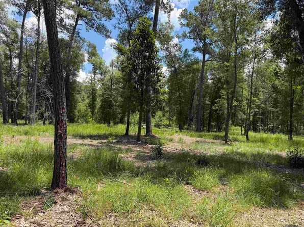 334 Westmoreland Ln, Amite, LA 70422