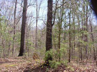 Crest Winds Dr, Clarkesville, GA 30523