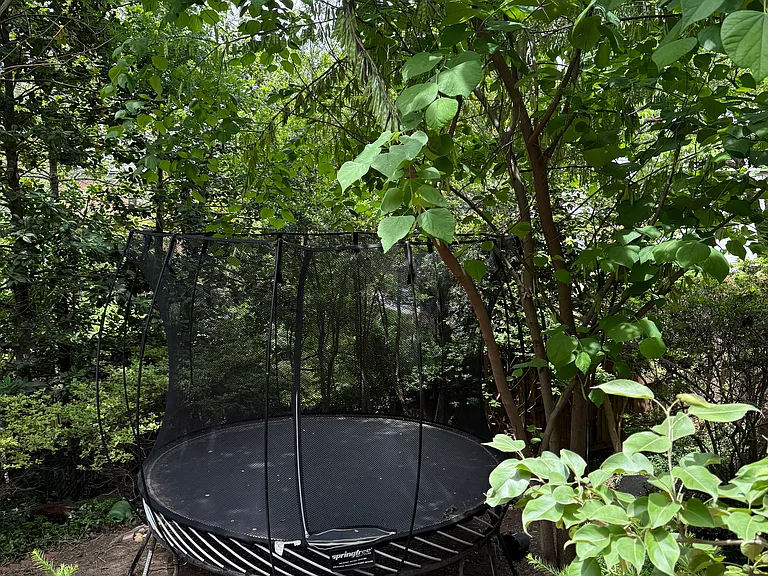 Trampoline in the backyard
