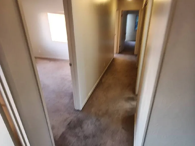 144 Belleview Dr #4 — Photo 11