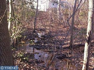 Stream