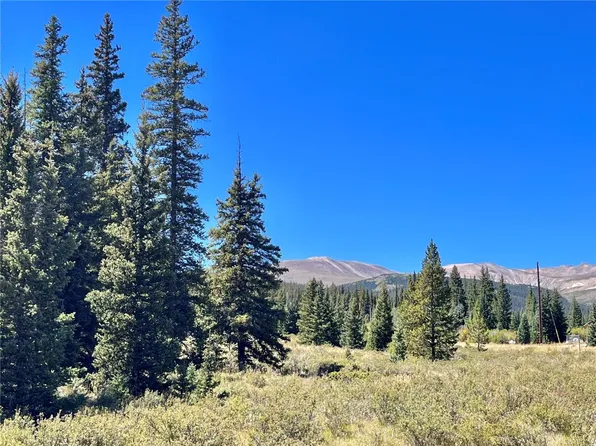 110 Gold Pan Ln, Fairplay, CO 80440