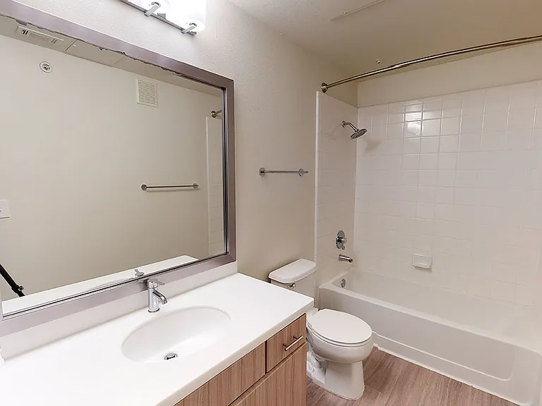 Apartment bathroom with wood-style flooring.