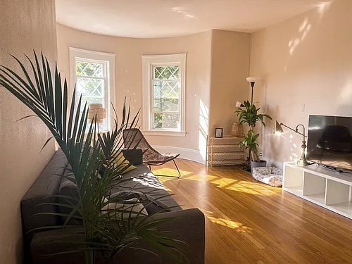 307 Tappan St #3A Photo 1