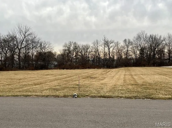 O'Kincaid St, Bowling Green, MO 63334