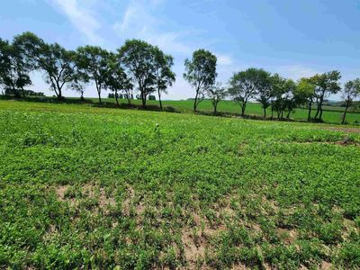 1206 Moll Drive #130, Waunakee, WI, 53597