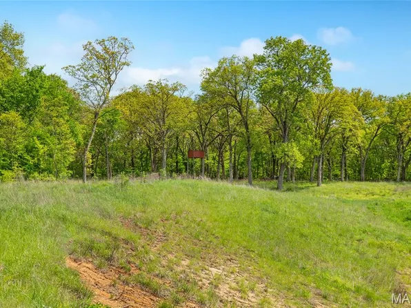 222C Prairietown Rd, Dorsey, IL 62021