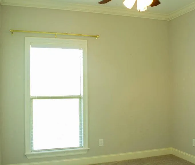 216 Buttonwood Ln — Photo 17