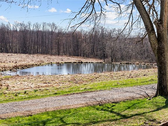 5th image of 587 Brownsdale Rd