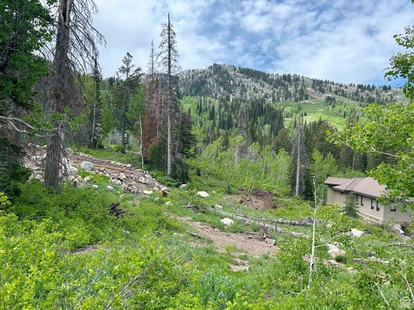 12176 E Big Cottonwood Canyon Rd, Salt Lake City, UT 84121