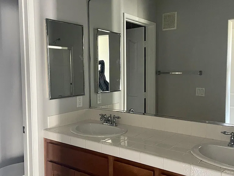 Master Bath - double sink vanity