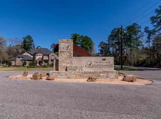 1251 Trailwood Estates Dr, Magnolia, TX 77354