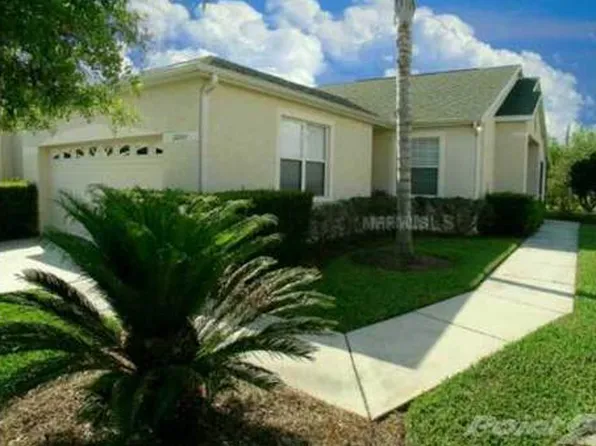 20521 Homossasa Ct, Land O Lakes, FL 34637