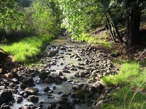 Seasonal creek as seen from private bridge