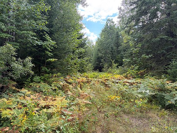 2nd image of On Schwilk Road