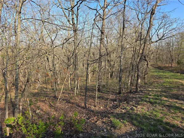 Galvin Pl #2283, Edwards, MO 65326