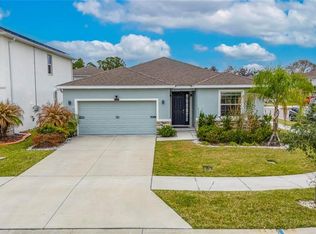 33146 Sand Creek Dr, Wesley Chapel, FL 33543