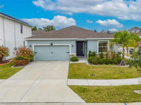 33146 Sand Creek Dr, Wesley Chapel, FL 33543