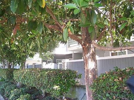 2nd image of 2003 Artesia Blvd Unit 105