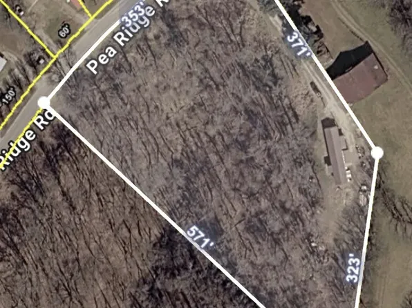460 Pea Ridge Rd, Chestnut Mound, TN 38552