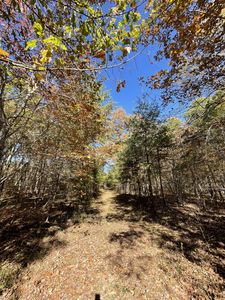 0 Pleasant Hill Cemetery Rd, Rock Island, TN, 38581