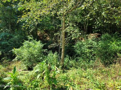 Hargrove St, Kingston, TN, 37763