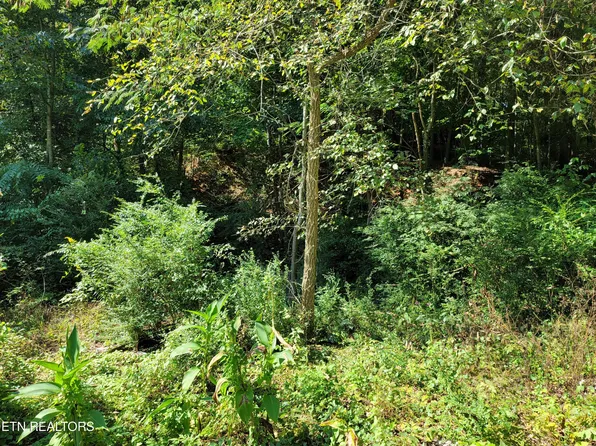 Hargrove St, Kingston, TN 37763